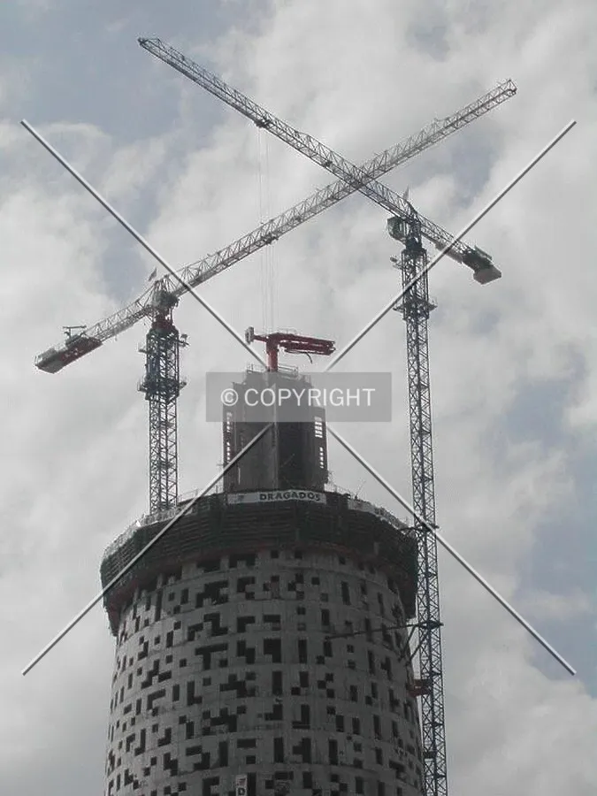 Cranes crossing in the sky