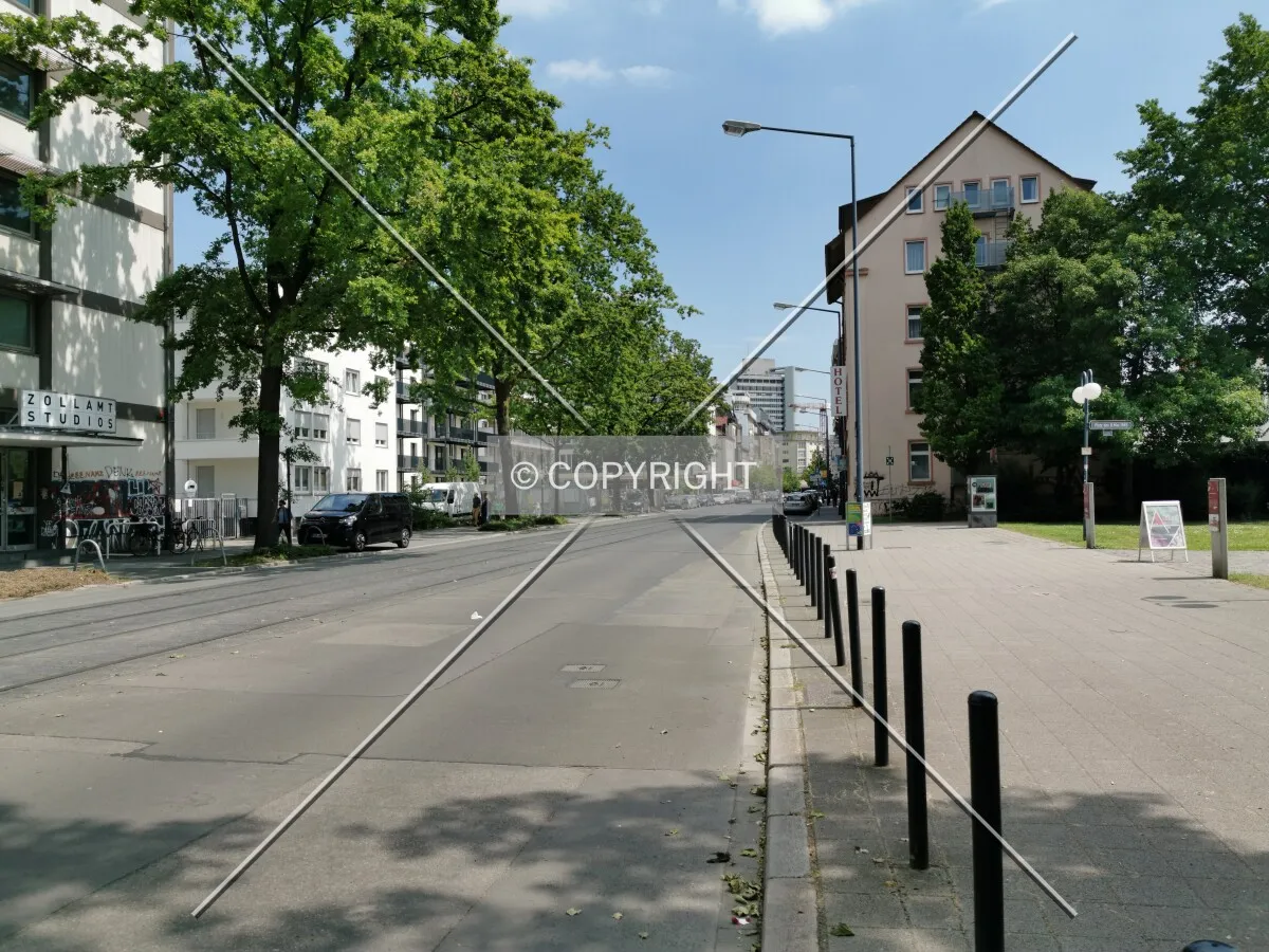 Photo 491-015-780