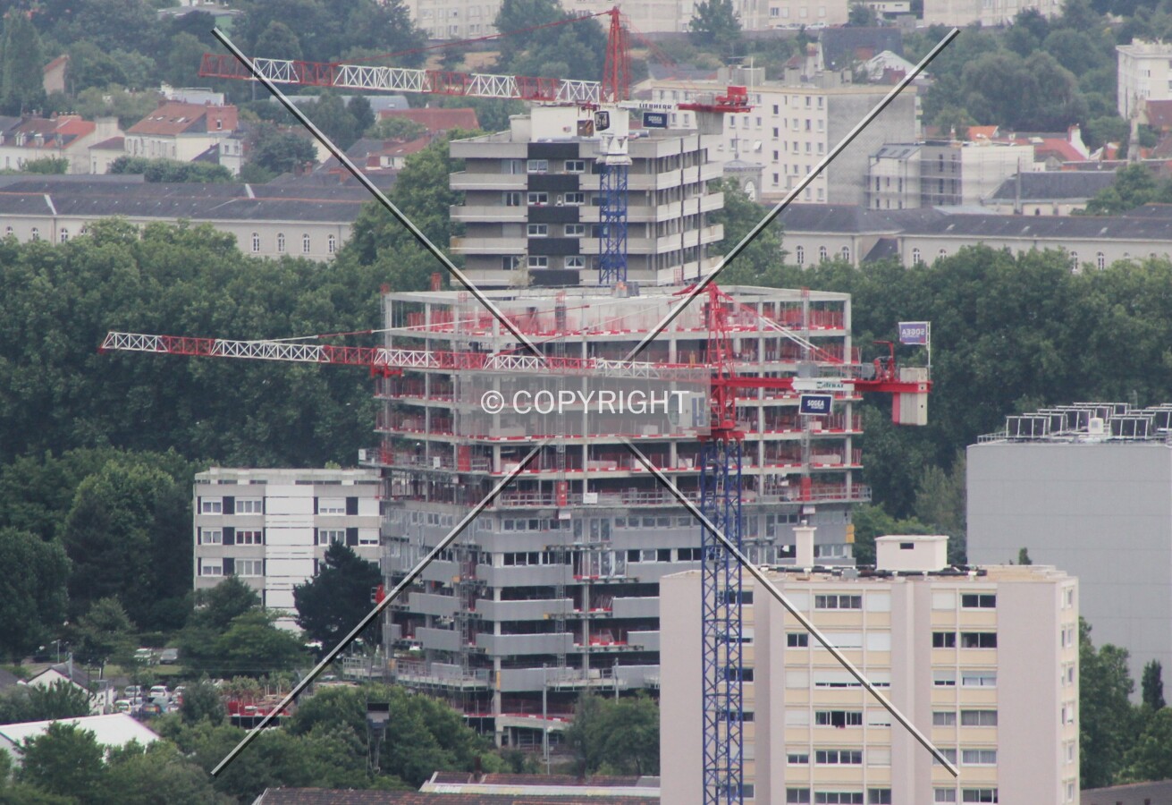 Photo 491-069-371