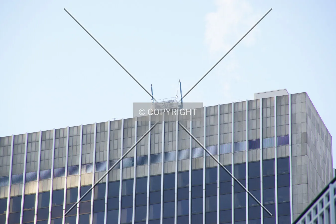 Photo 491-095-791