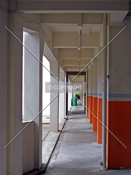 Photo 491-223-559