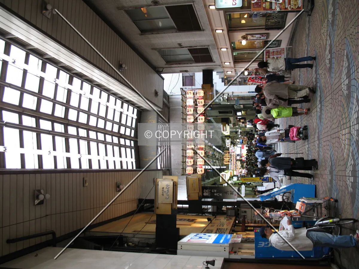 Photo 491-251-794