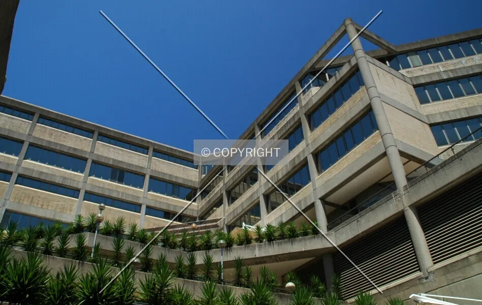 Photo 491-492-919