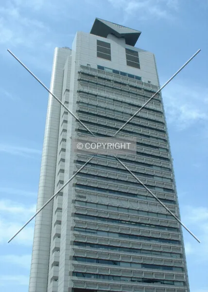 Photo 491-529-428