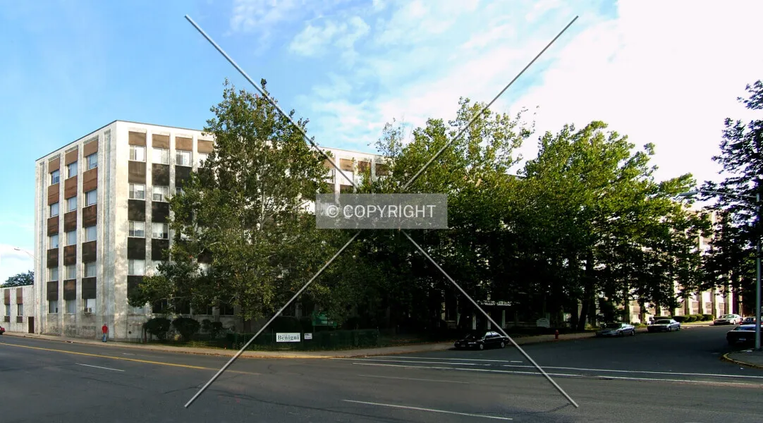 Photo 491-742-785