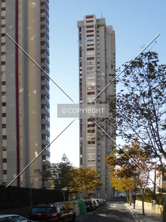 Photo 491-934-541