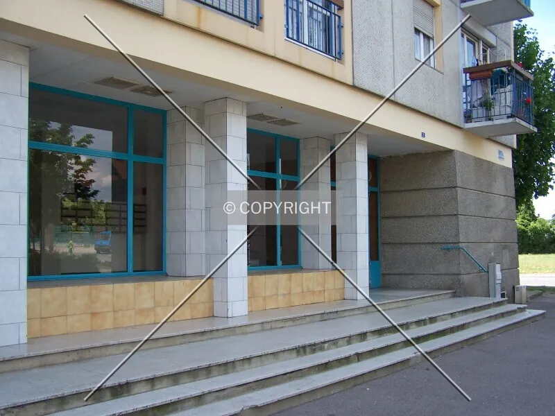 Photo 491-988-077