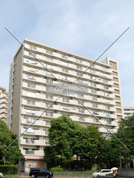 Photo 492-081-537
