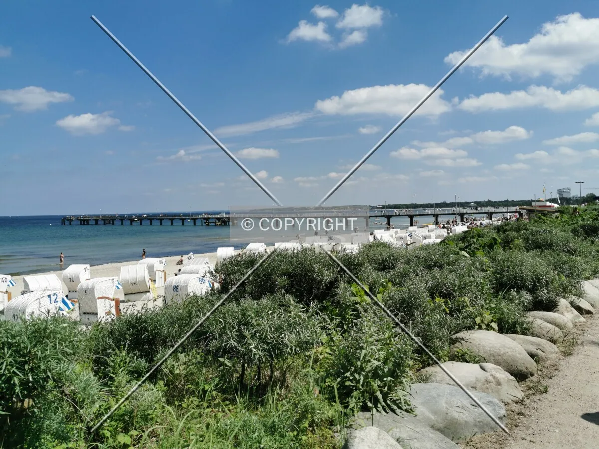 Photo 492-267-917