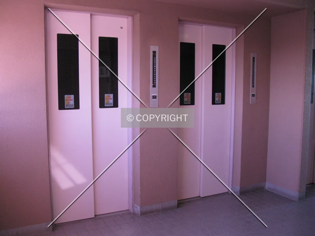 Photo 492-295-727