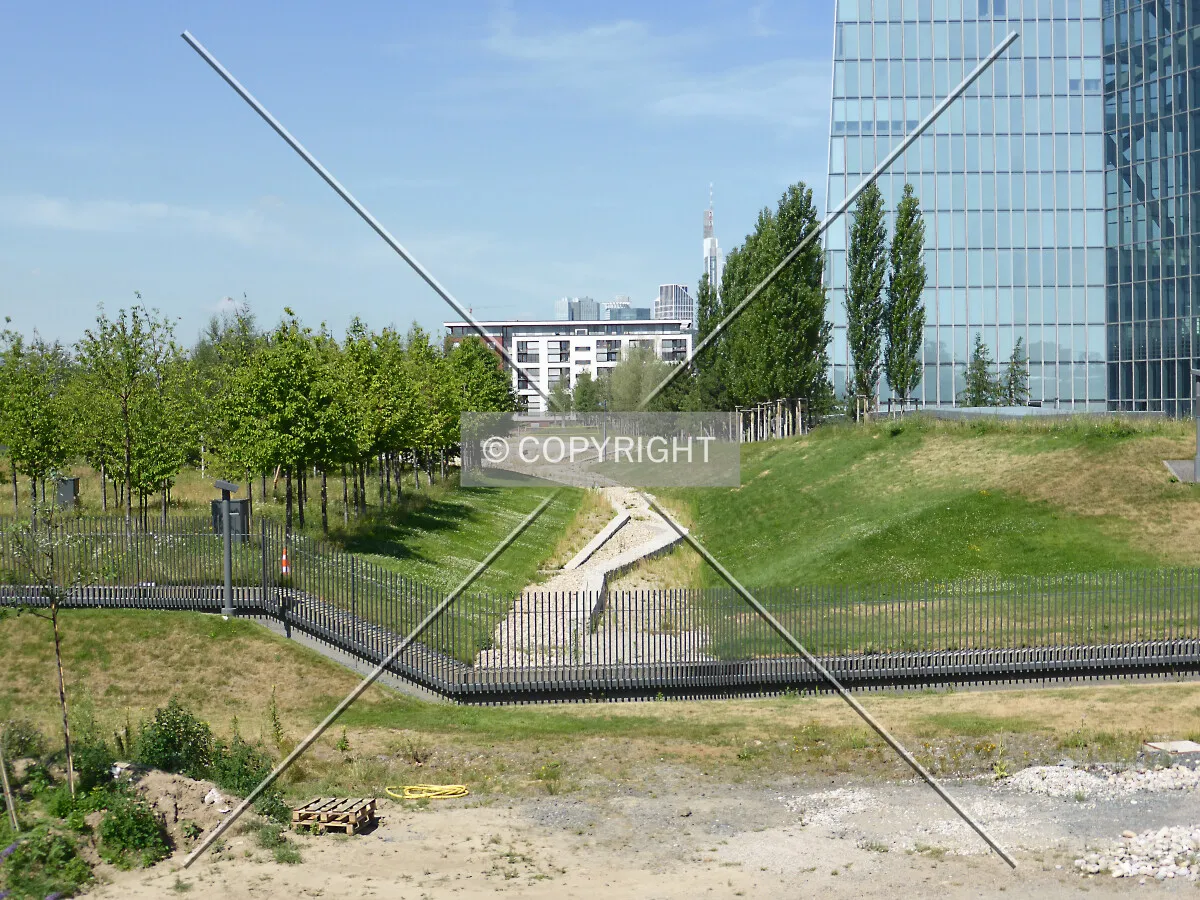 Photo 492-526-173