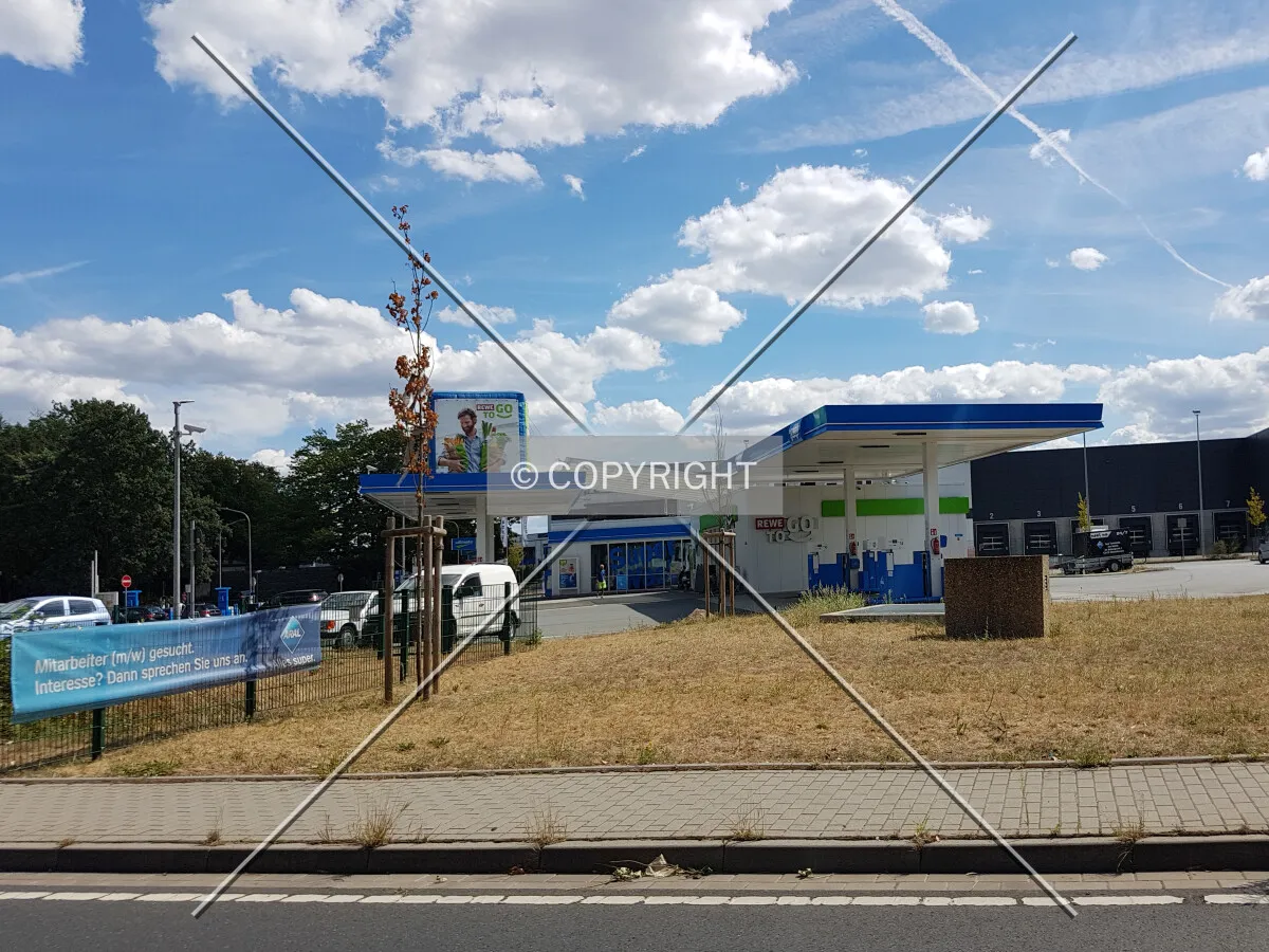 Photo 492-597-985
