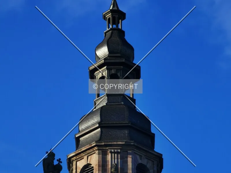 Photo 492-667-432