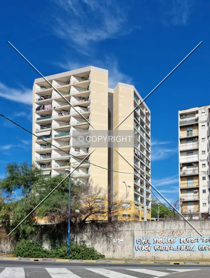 Photo 492-762-576