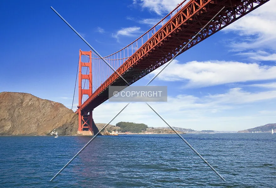 Photo 492-893-554