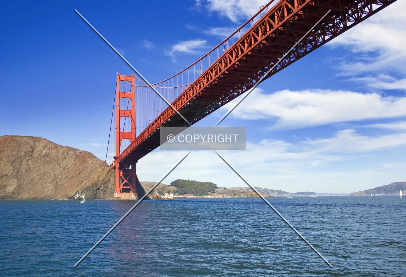 Looking north from the bay