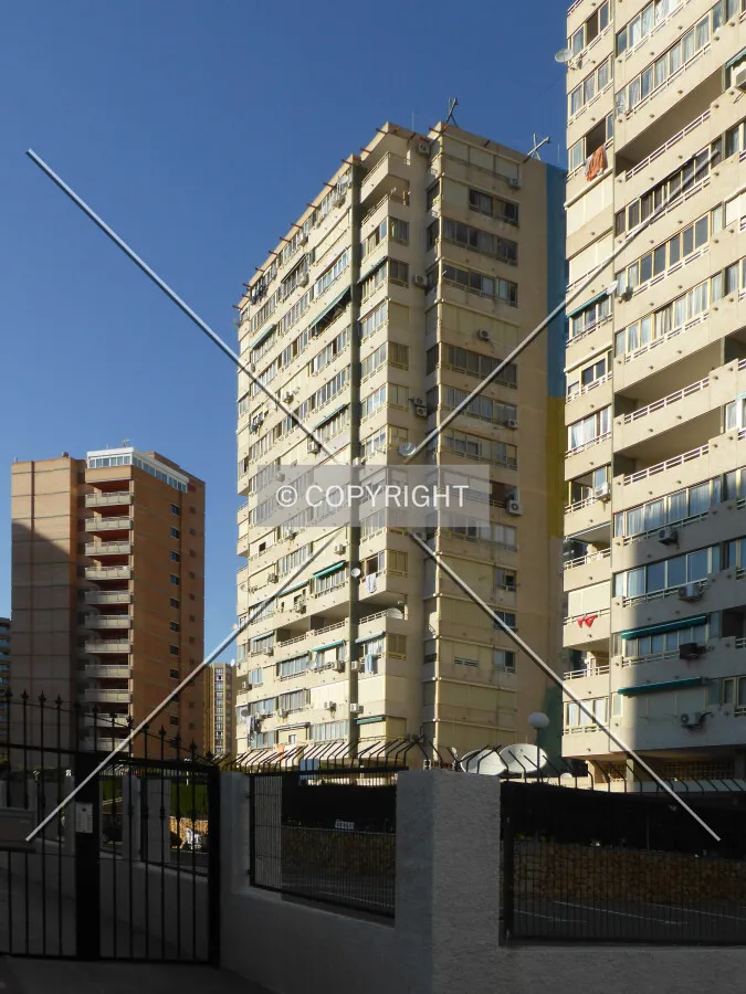 Photo 492-961-017