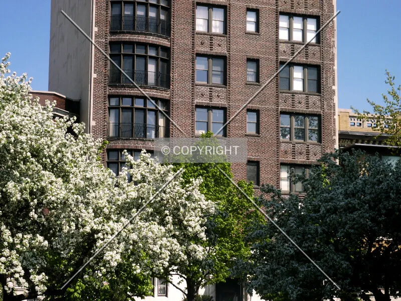Photo 492-987-356