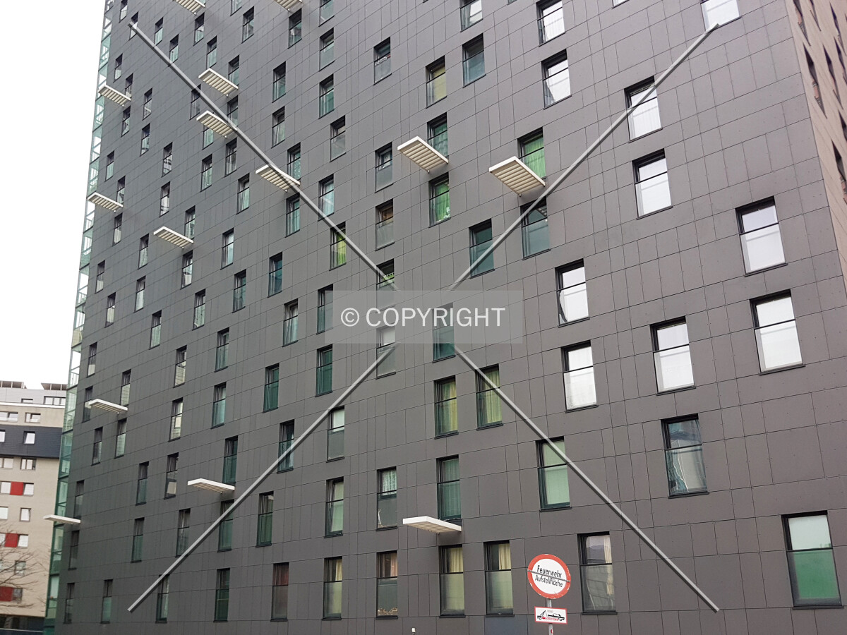 Photo 493-154-229