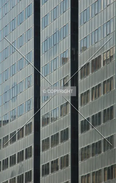 Photo 493-181-590