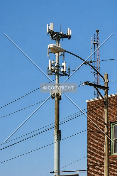 Photo 493-199-038
