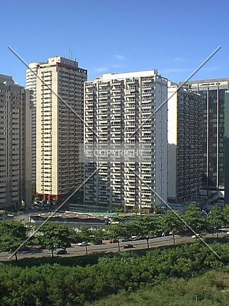 Photo 493-323-346