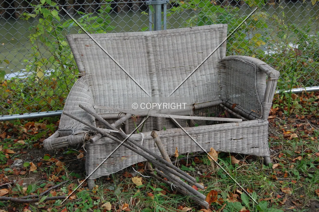 Photo 493-329-774
