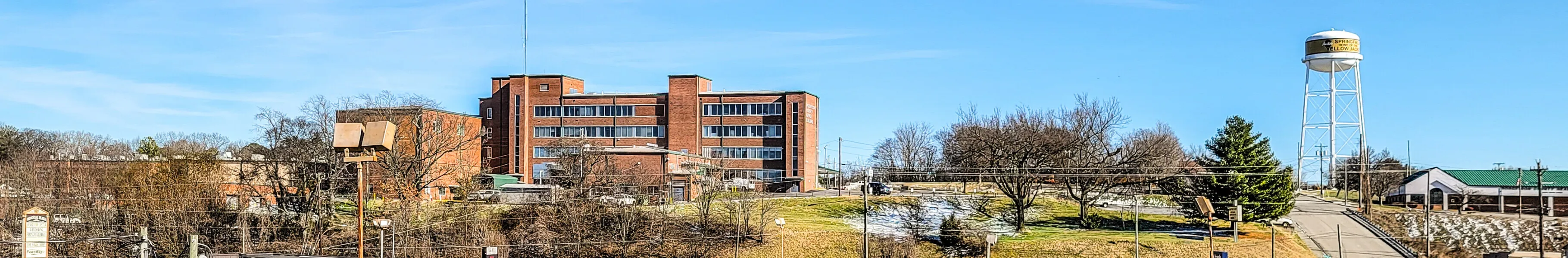 Panorama of Springfield