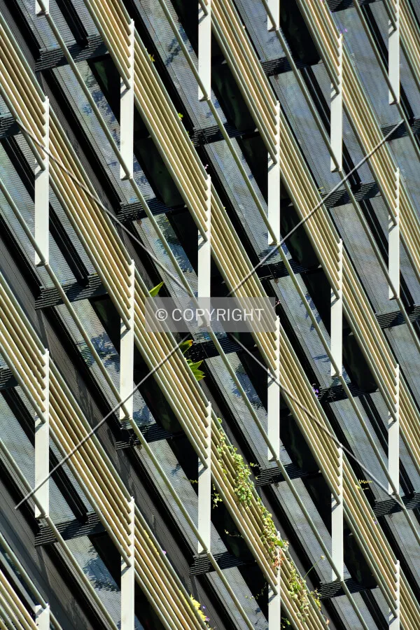 Photo 493-367-780
