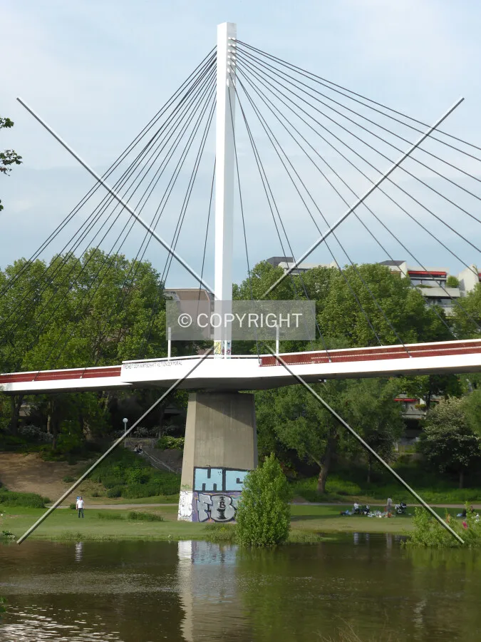 Photo 493-508-182