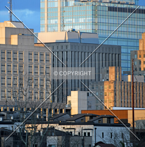 Photo 493-510-229