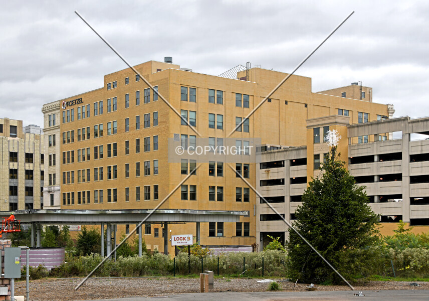 Photo 493-725-461