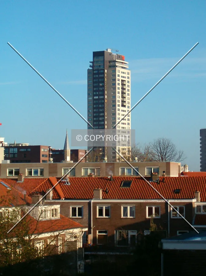 View from a residential area