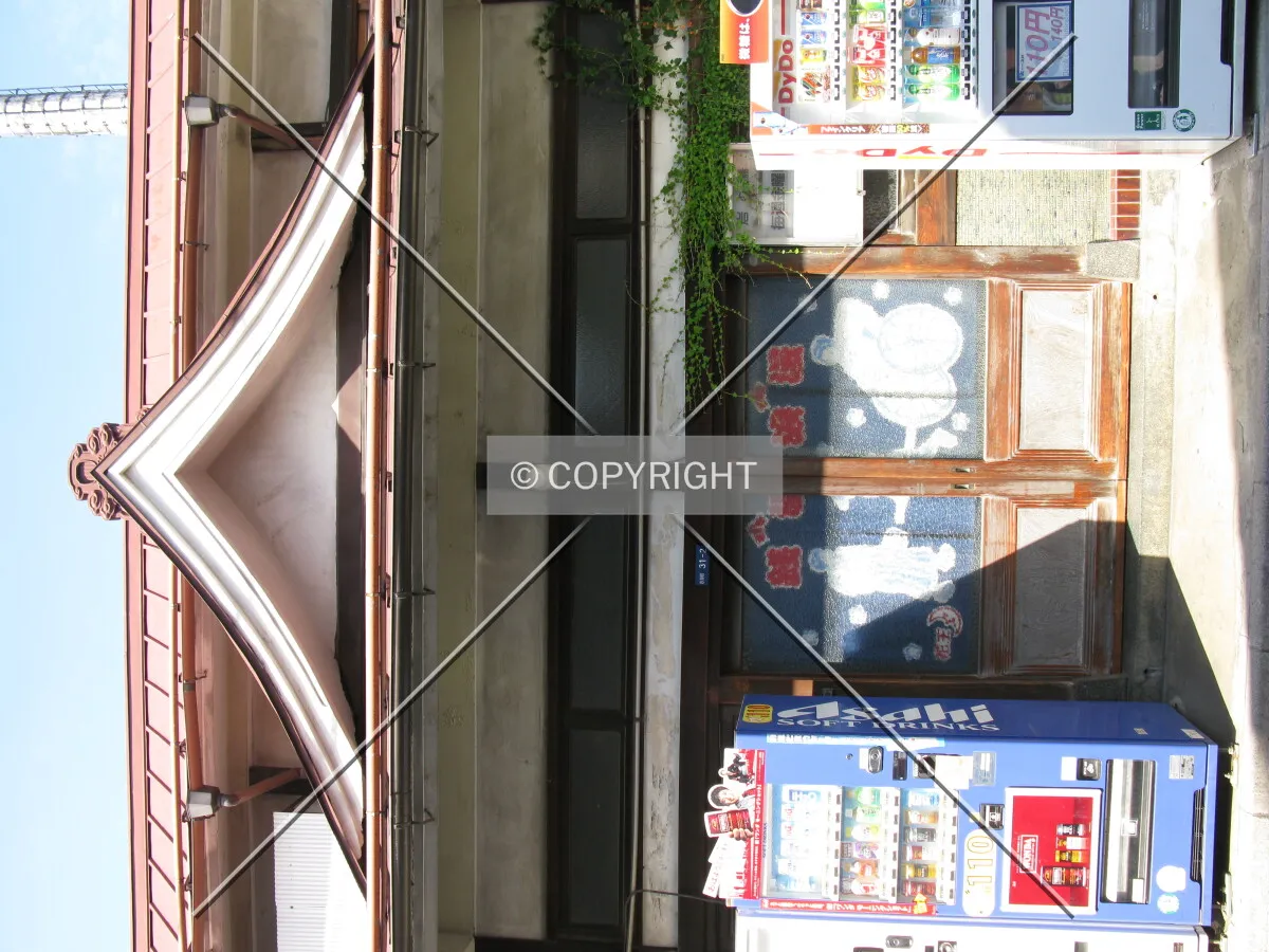 Photo 493-849-354