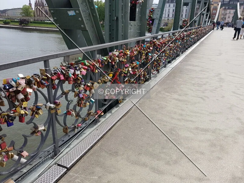 Photo 493-874-730