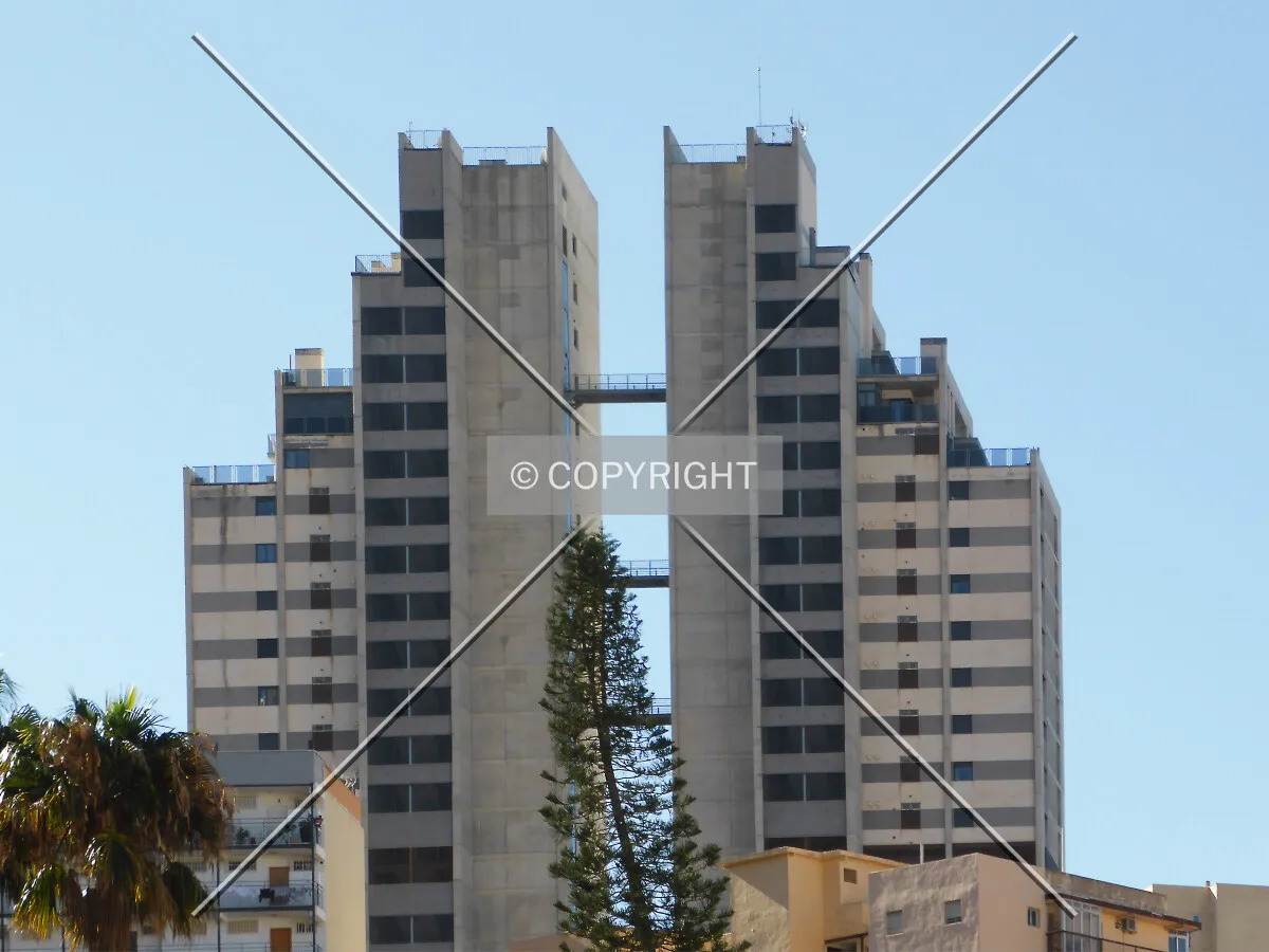 Photo 493-984-780