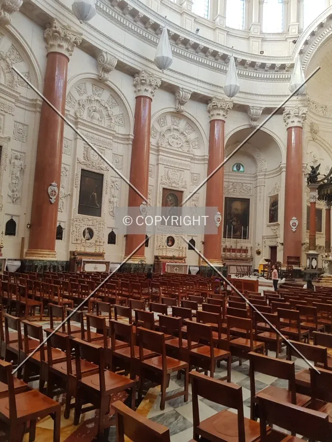 Photo 494-033-799