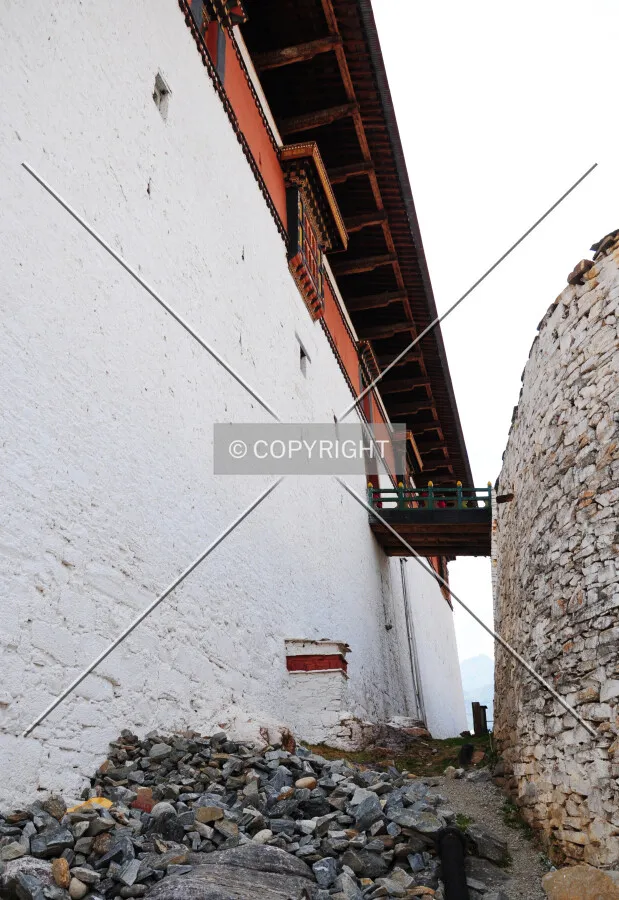 Photo 494-145-994