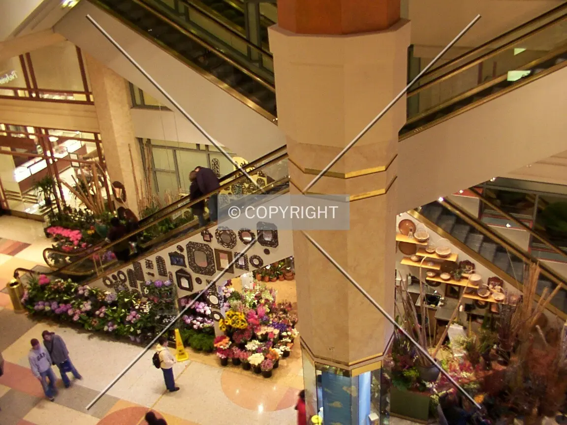 Bottom of the escalators