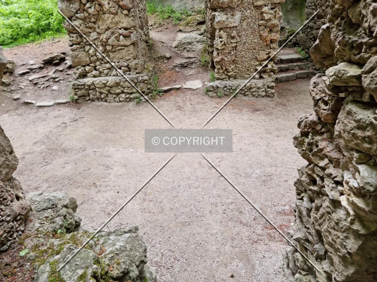 Photo 494-416-534