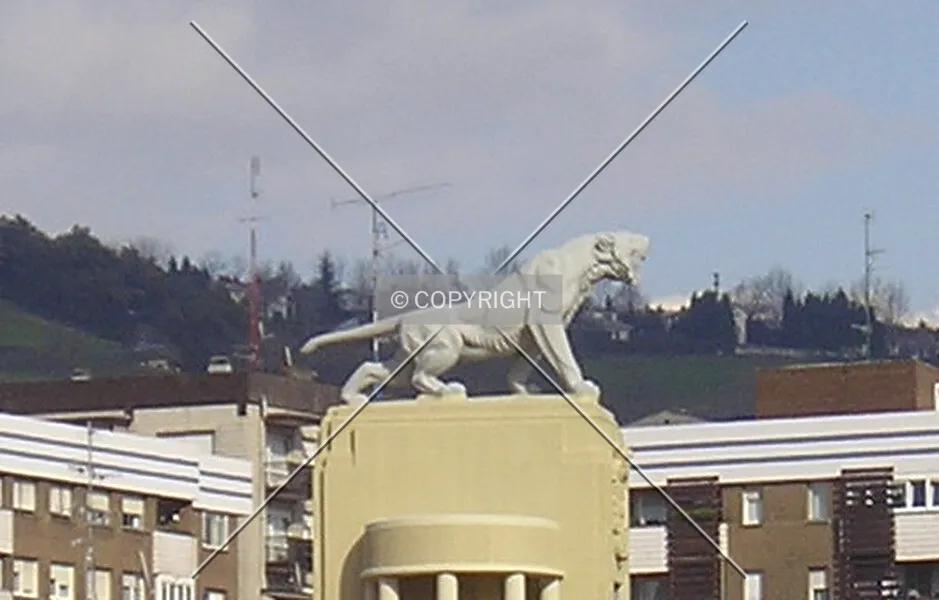 Photo 494-501-211