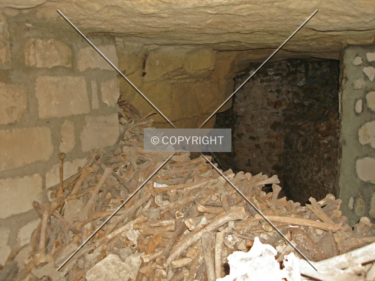 Bones in the catacombs of Paris