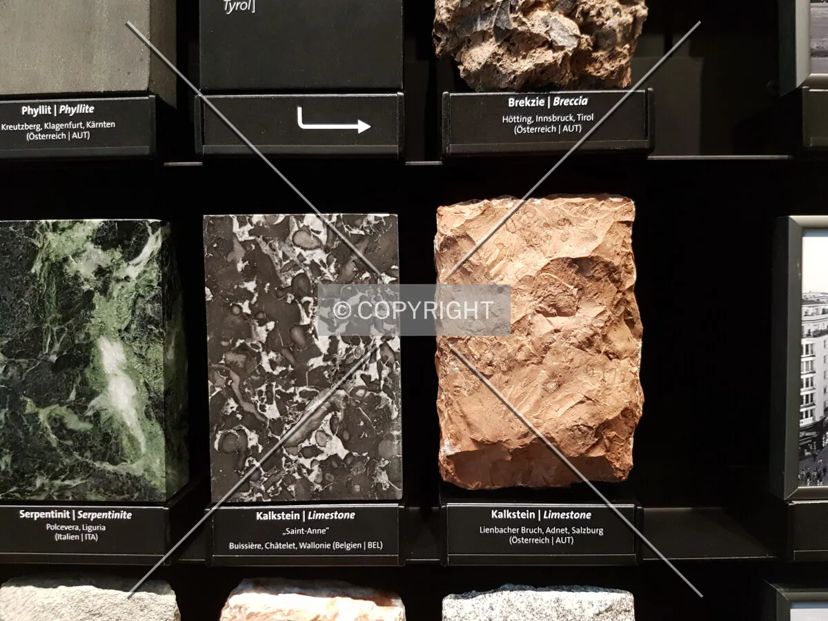 Photo 494-735-331