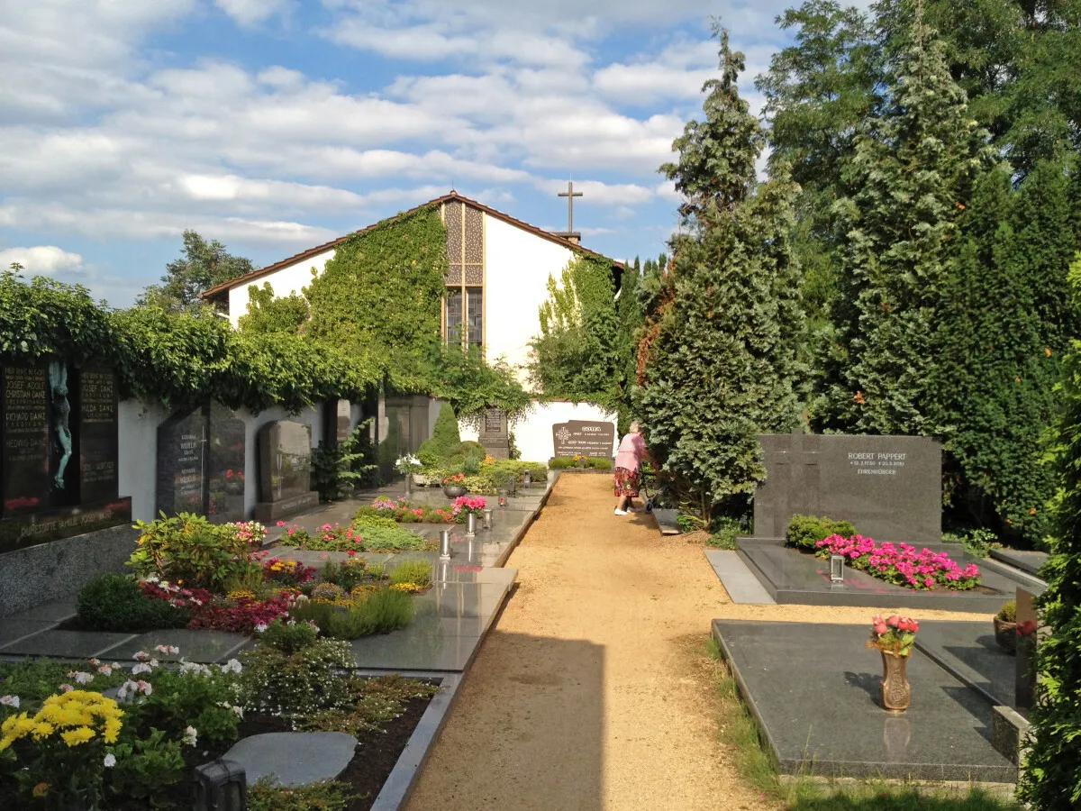Photo 494-755-297