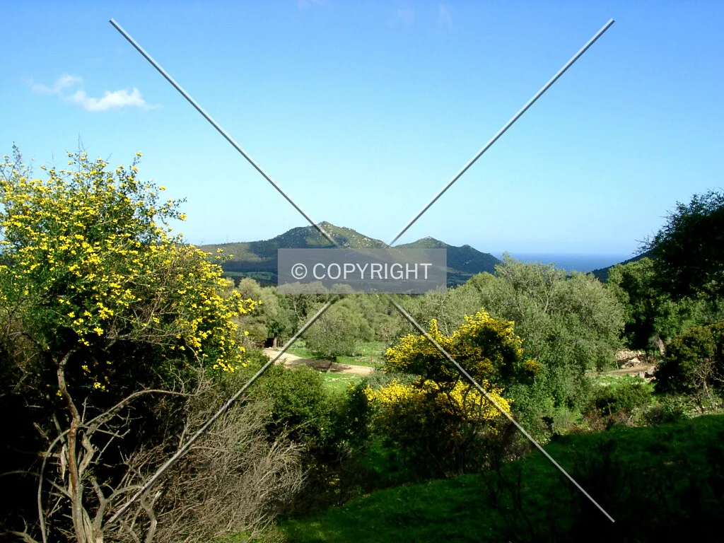 Photo 494-916-496