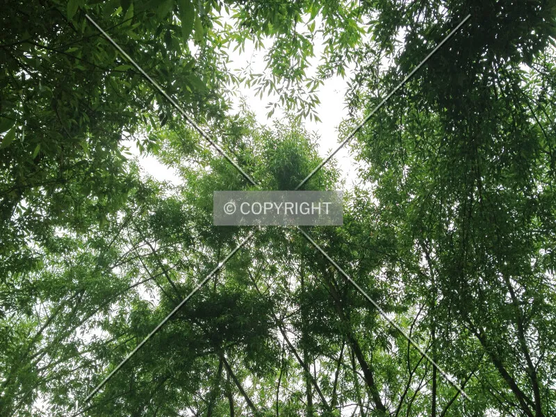 Photo 495-144-304