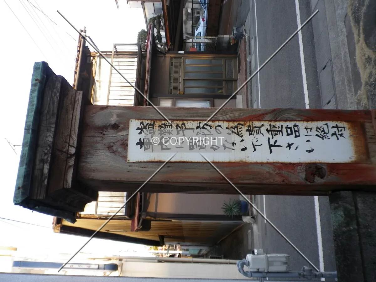 Photo 495-276-973