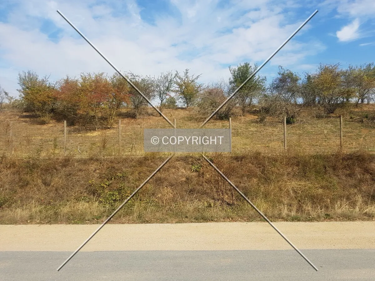 Photo 495-336-634