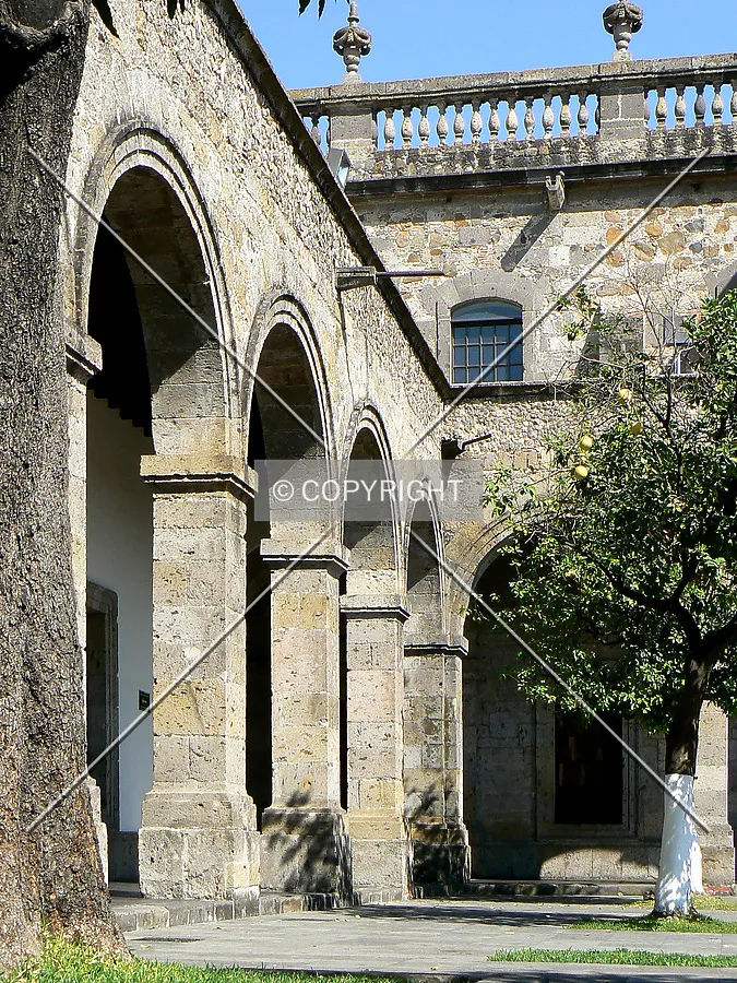 Orange trees in the courtyard as seen from the southwest