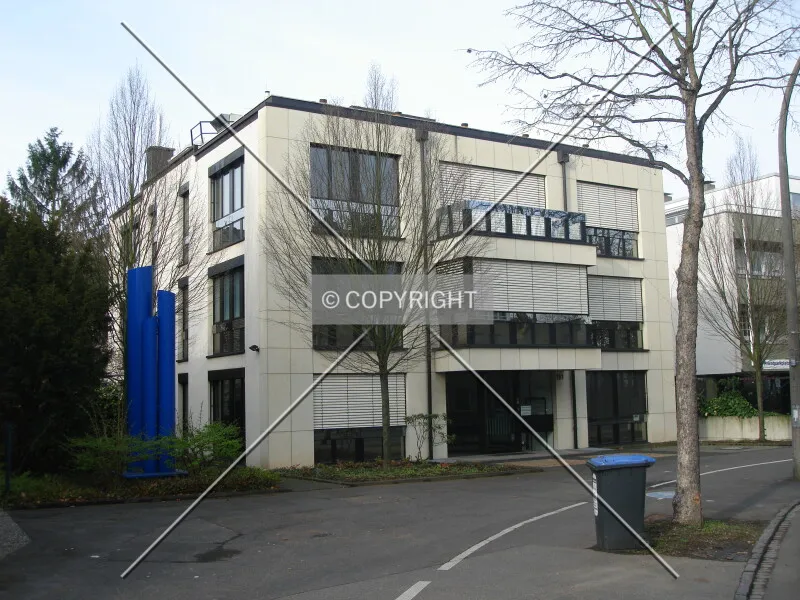 Photo 495-393-585